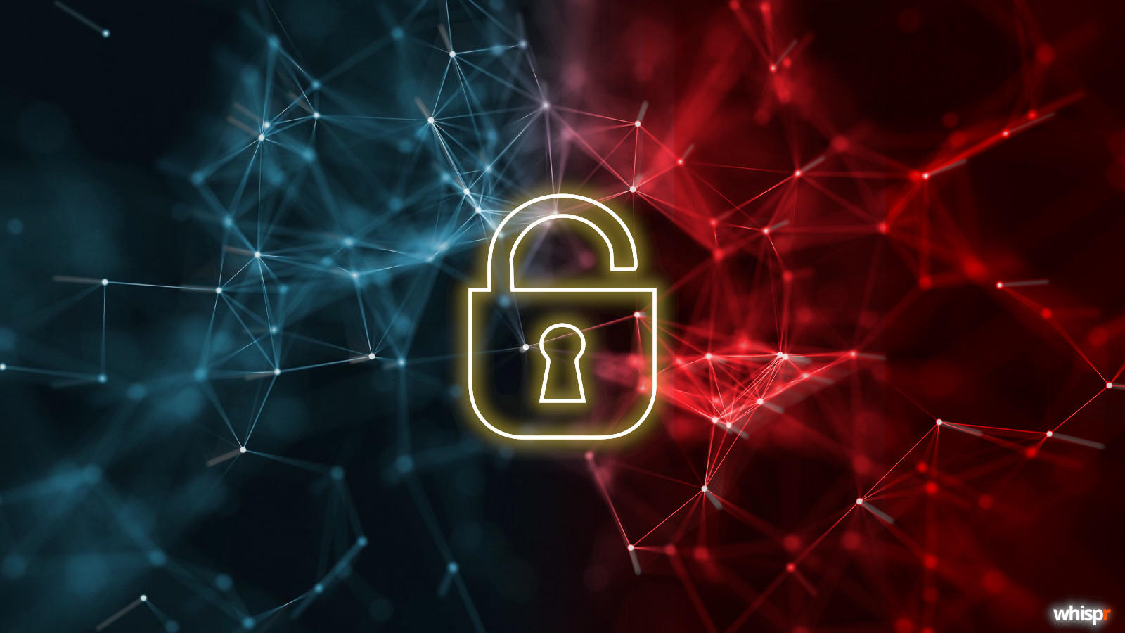 La importancia de la privacidad en la web