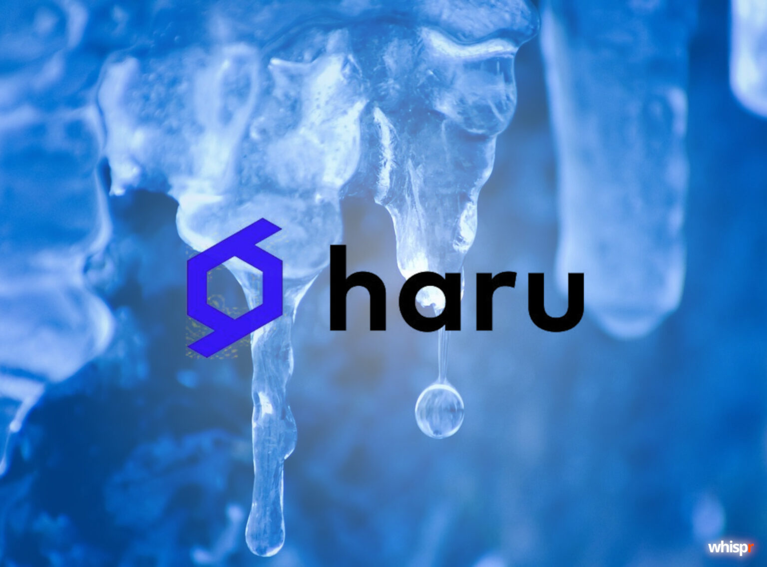 Haru Invest congela los retiros en su plataforma